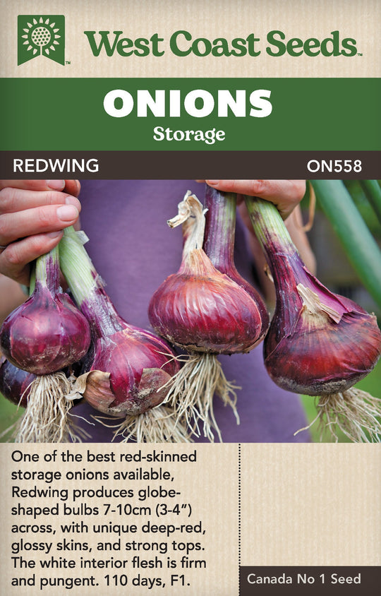 Onion Redwing - West Coast Seeds