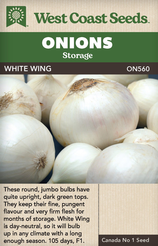 Onion White Wing - West Coast Seeds