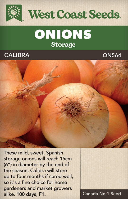 Onion Calibra - West Coast Seeds