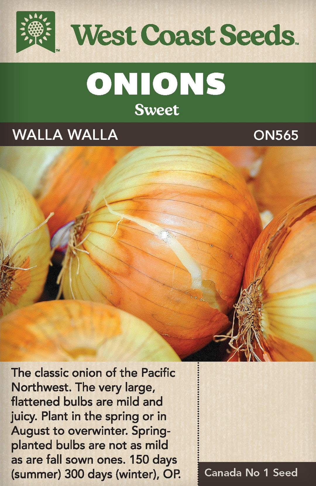 planting walla walla onion seeds Onion Walla Walla