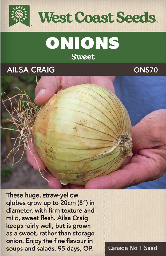 Onion Ailsa Craig - West Coast Seeds