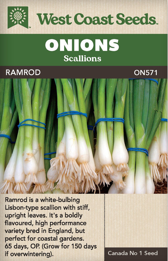Onion Ramrod - West Coast Seeds