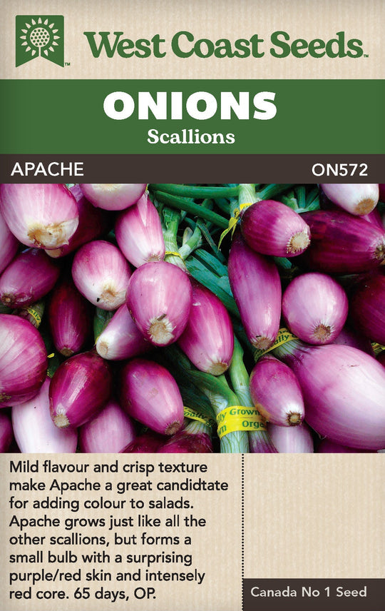 Onion Apache - West Coast Seeds