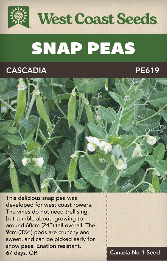 Pea Cascadia - West Coast Seeds