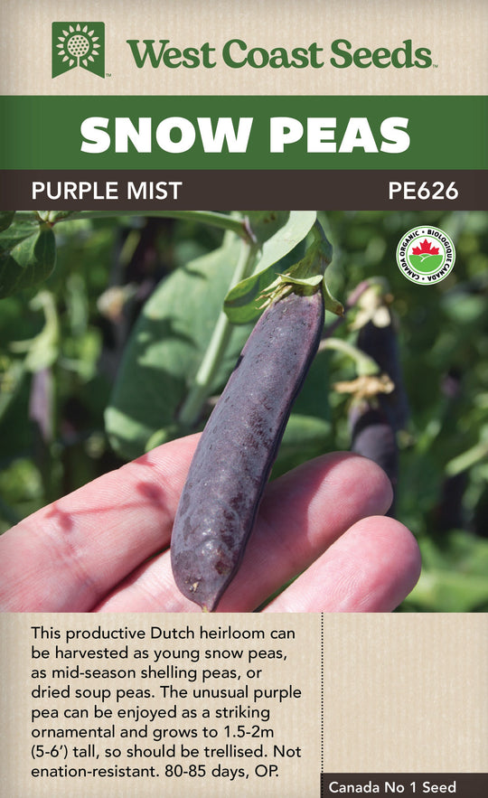 Organic Pea Snow Purple Mist - West Coast Seeds