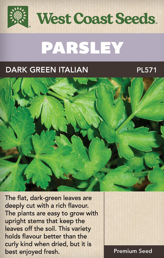 Parsley Dark Green Italian - West Coast Seeds