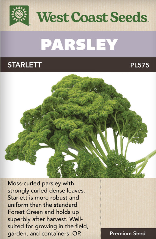 Parsley Starlett - West Coast Seeds