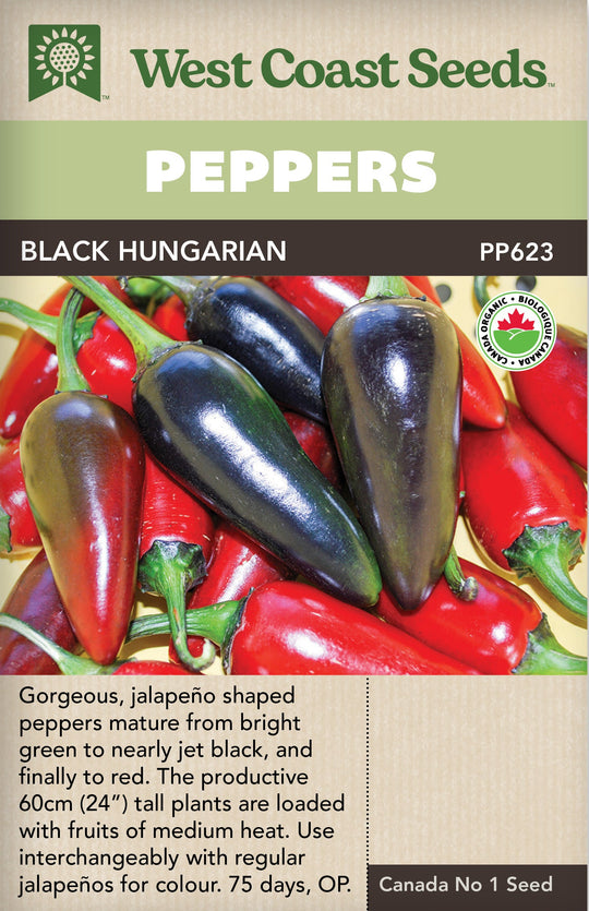 Organic Pepper Black Hungarian  - West Coast Seeds