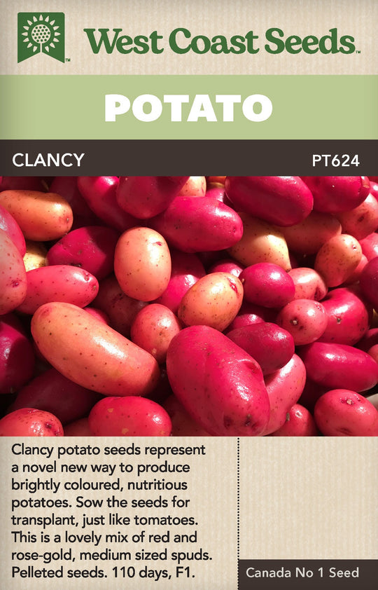Potato Clancy - West Coast Seeds