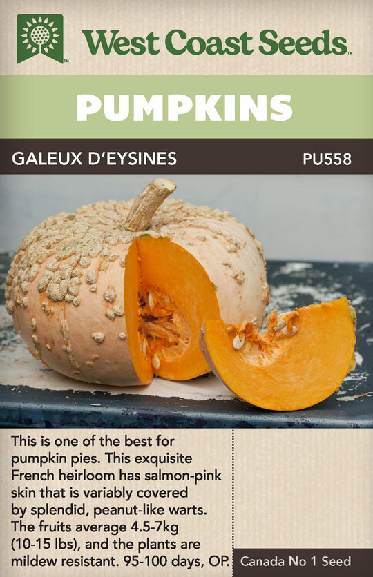Pumpkin Galeux D'Eysines - West Coast Seeds