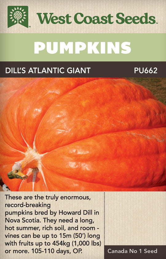 Pumpkin Dill's Atlantic Giant - West Coast Seeds