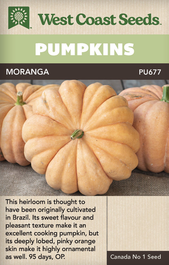 Pumpkin Moranga - West Coast Seeds