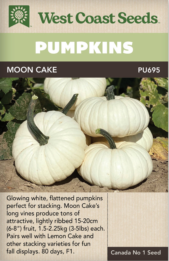 Pumpkin Moon Cake - West Coast Seeds
