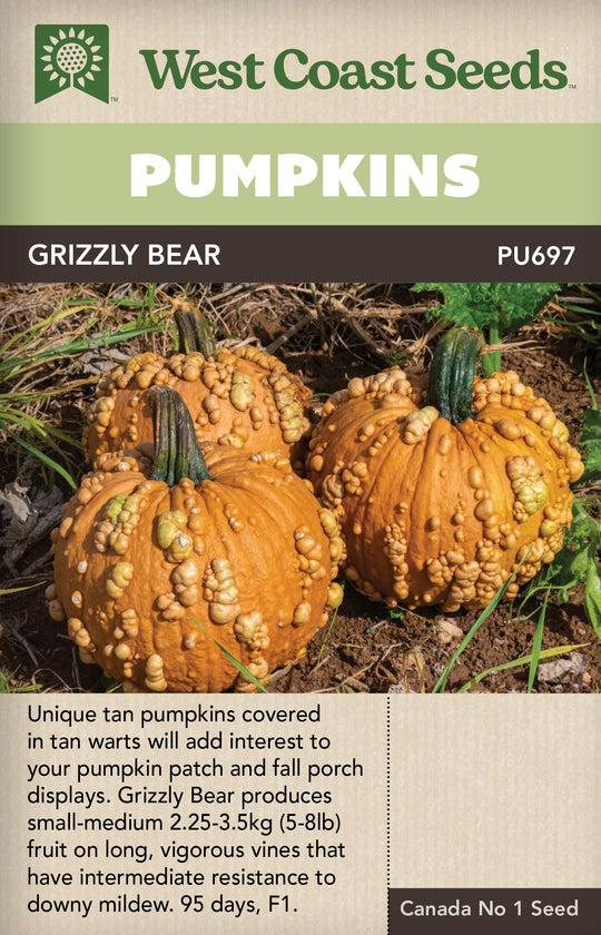 Pumpkin Grizzly Bear - West Coast Seeds