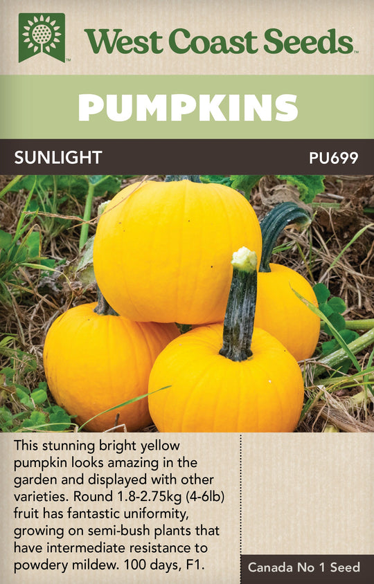 Pumpkins Sunlight - West Coast Seeds