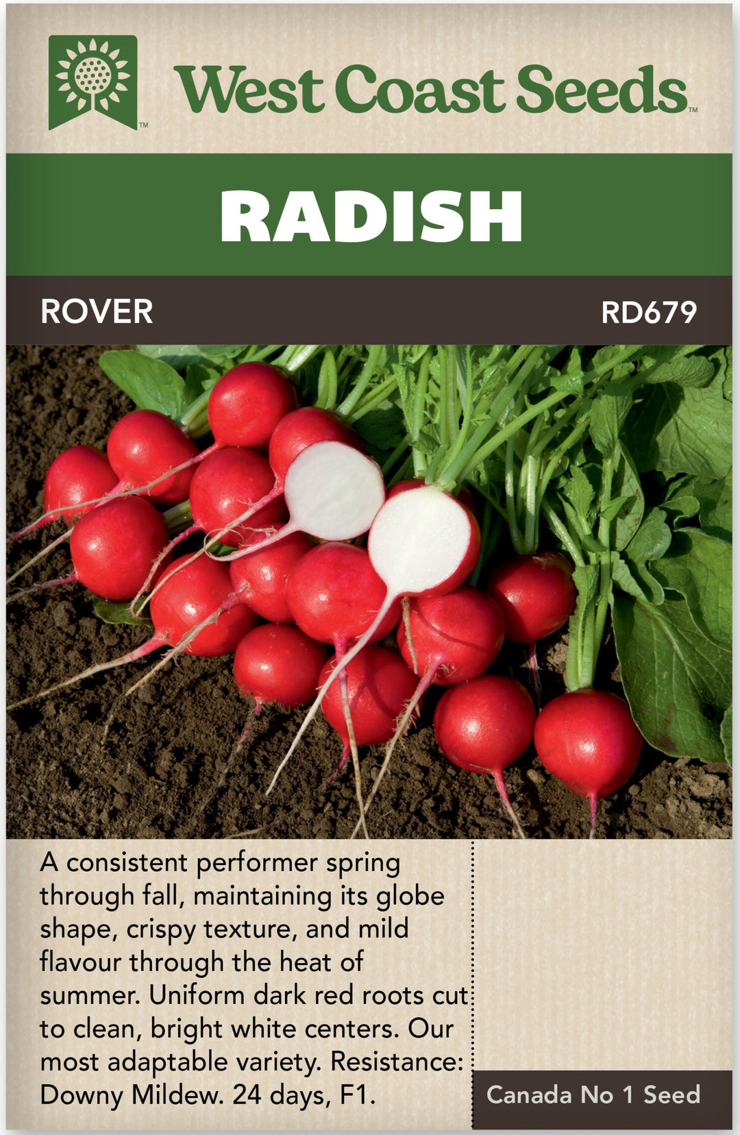 Radish Rover - West Coast Seeds