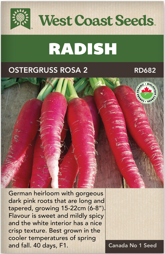 Organic Radish Ostergruss Rosa 2 - West Coast Seeds