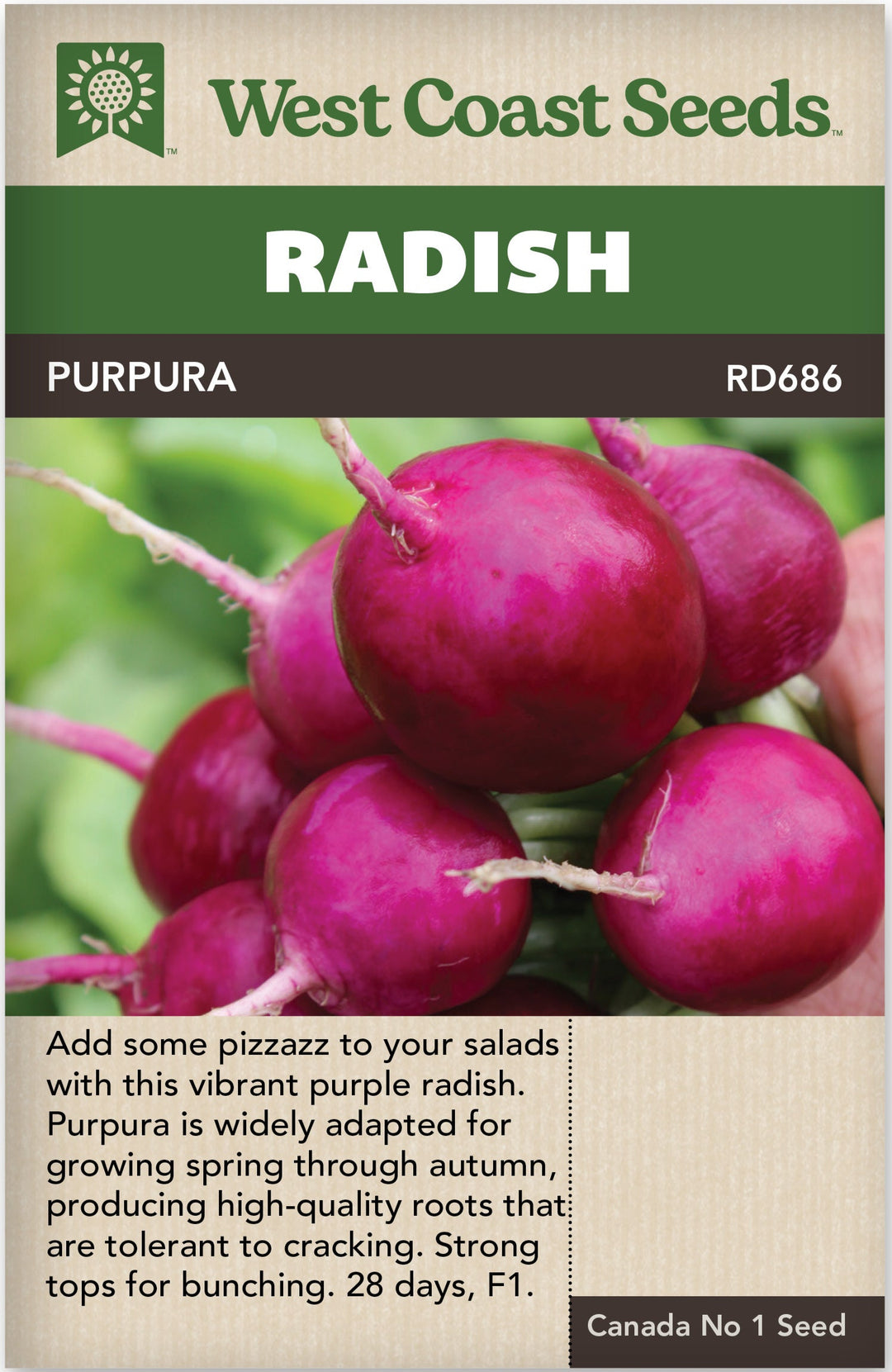 Radish Purpura - West Coast Seeds