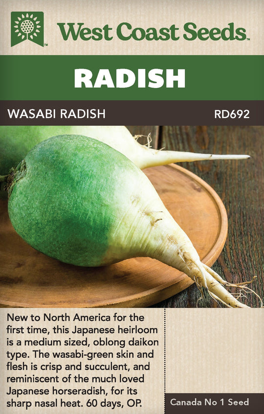 Radish Wasabi - West Coast Seeds