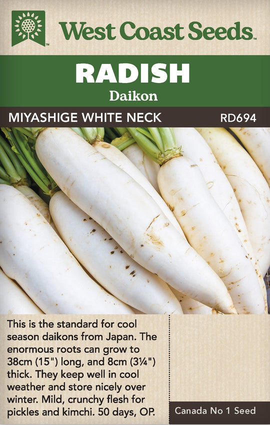 Radish Miyashige White Neck - West Coast Seeds