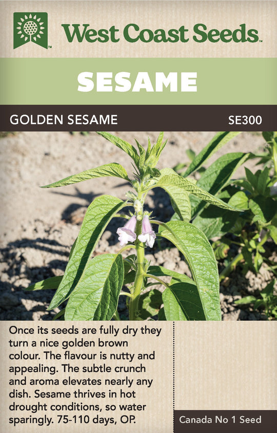 Sesame Golden - West Coast Seeds