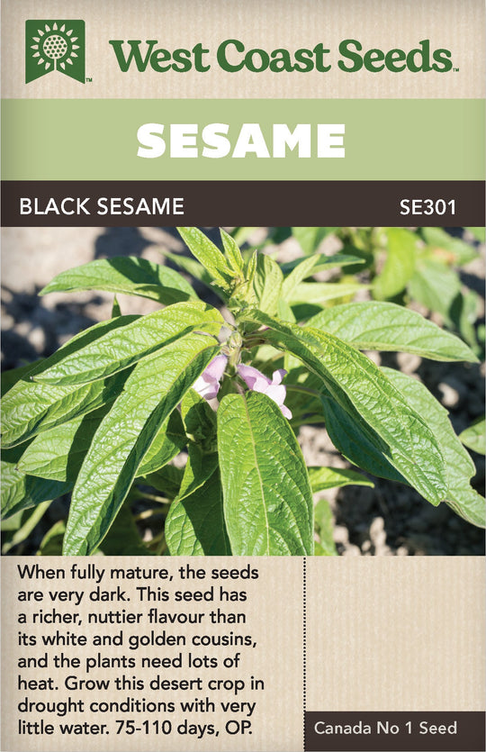 Sesame Black - West Coast Seeds