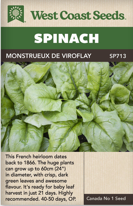 Spinach Monstrueux de Viroflay - West Coast Seeds