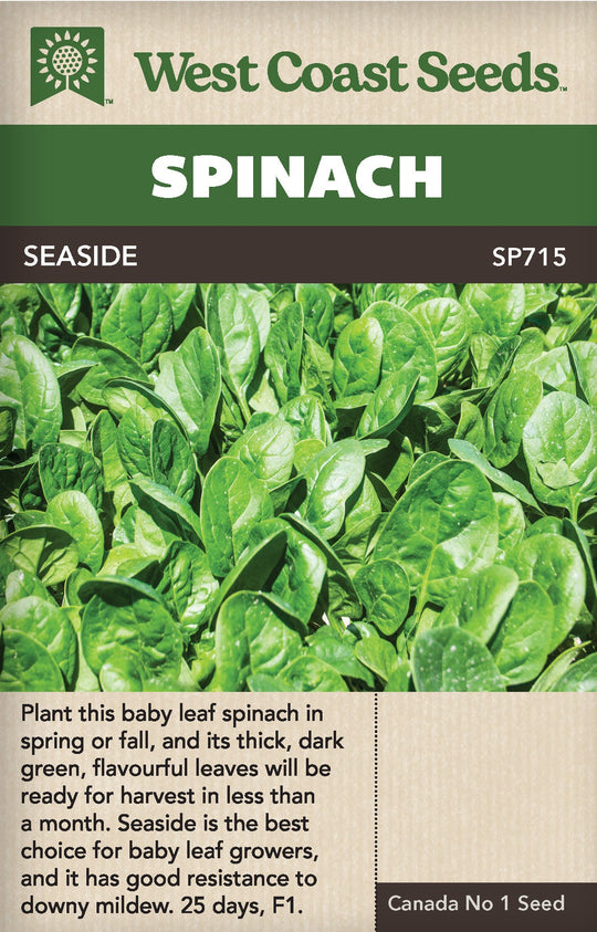 Spinach Seaside - West Coast Seeds