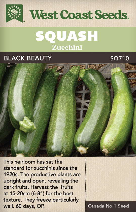 Zucchini Black Beauty - West Coast Seeds
