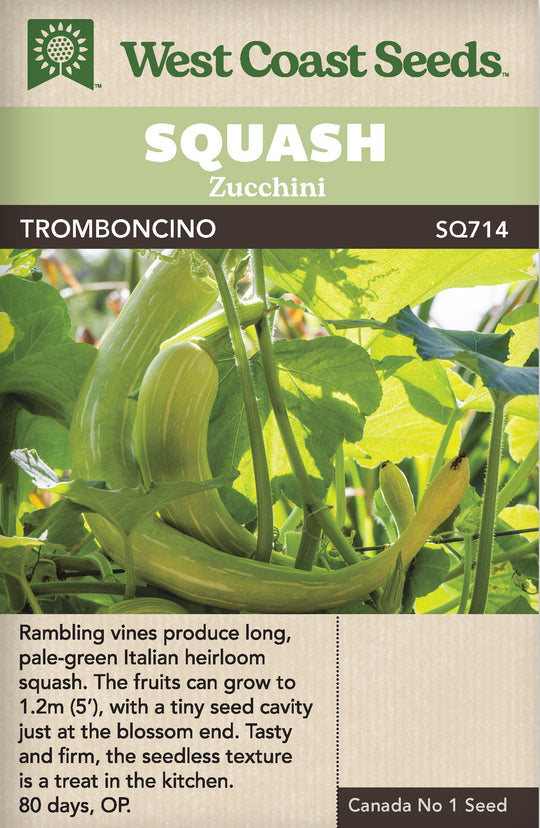 Squash Tromboncino - West Coast Seeds