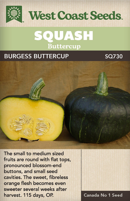 Squash Burgess Buttercup - West Coast Seeds