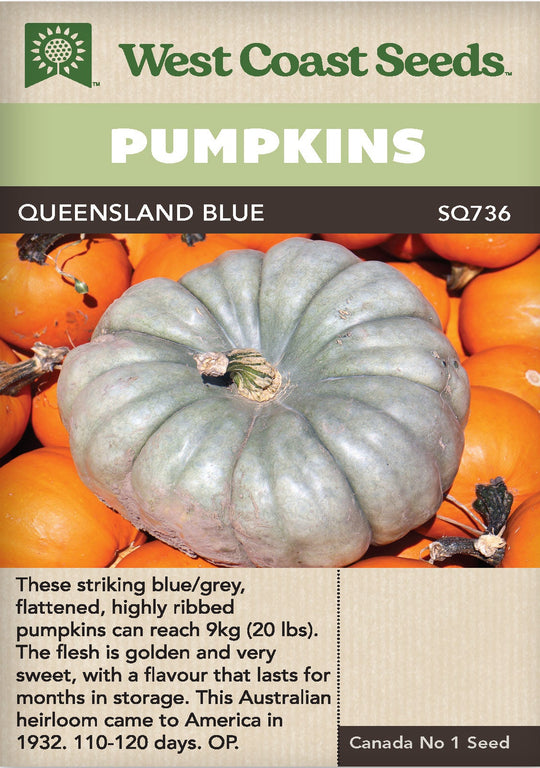 Pumpkin Queensland Blue - West Coast Seeds