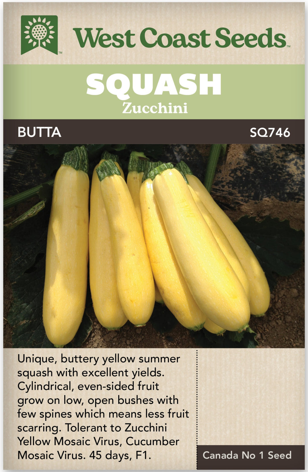 Zucchini Butta - West Coast Seeds