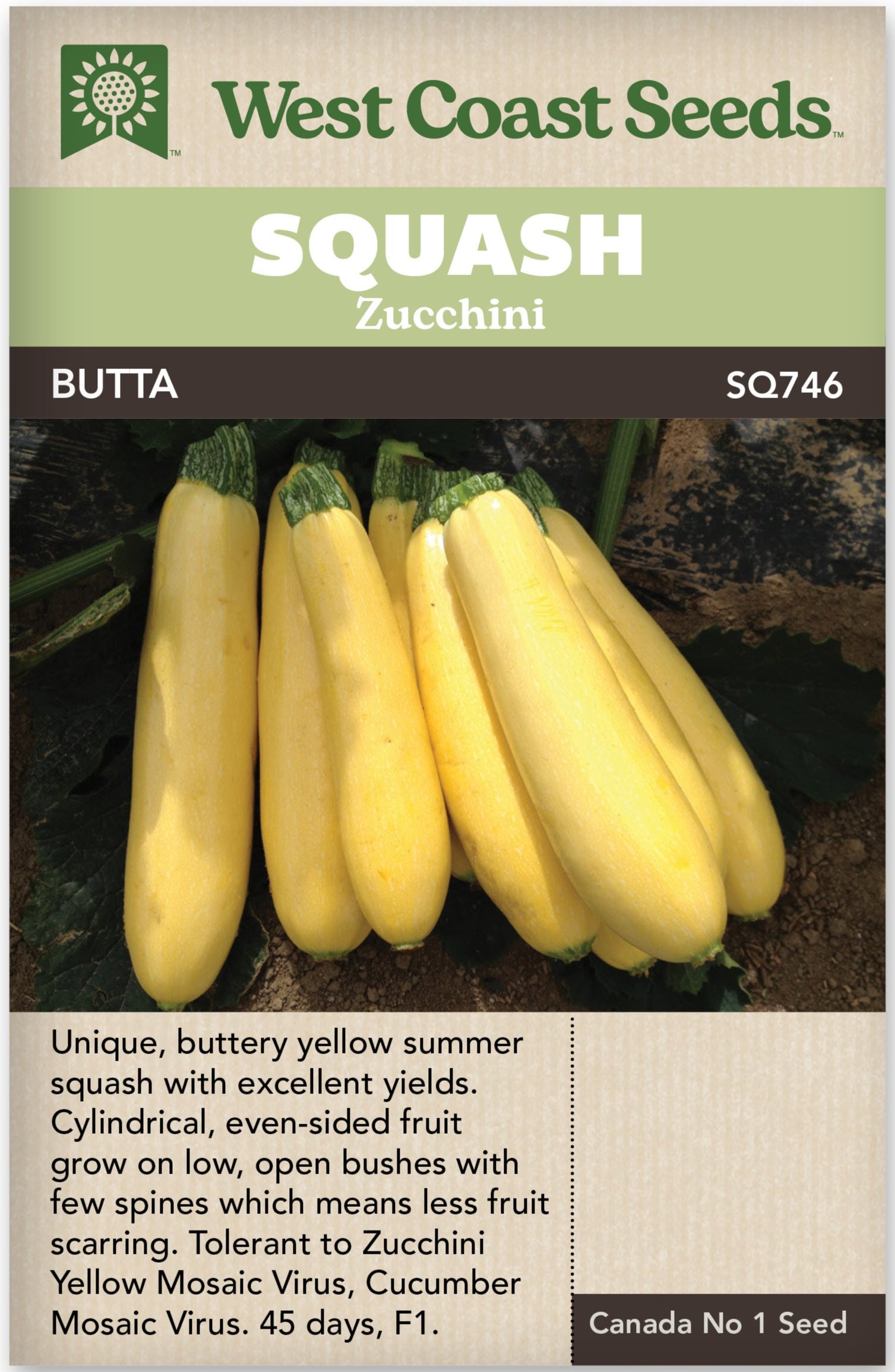 Zucchini Butta - West Coast Seeds