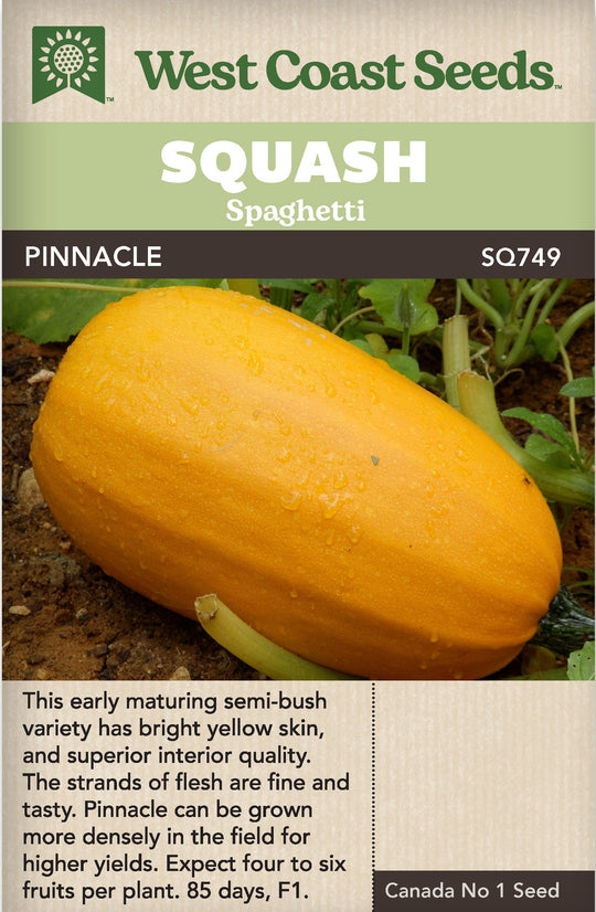 Squash Pinnacle - West Coast Seeds