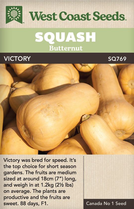 Squash Butternut Victory - West Coast Seeds