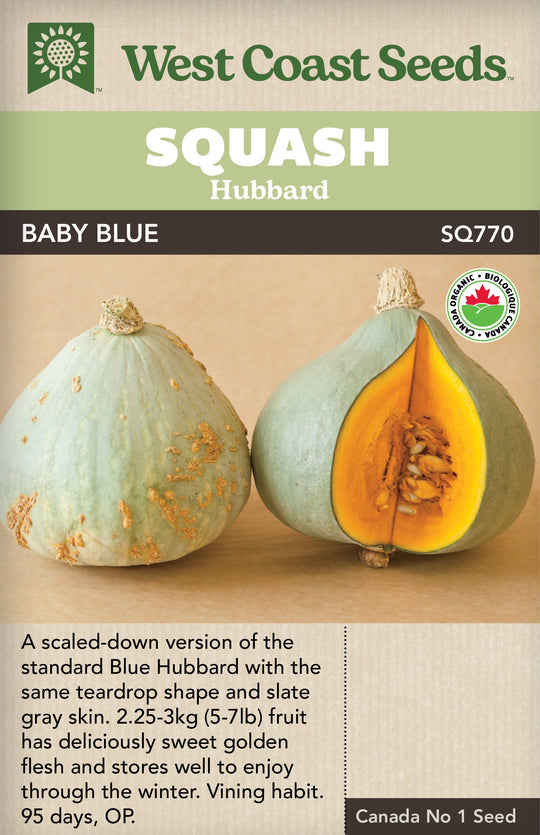 Organic Squash Baby Blue - West Coast Seeds