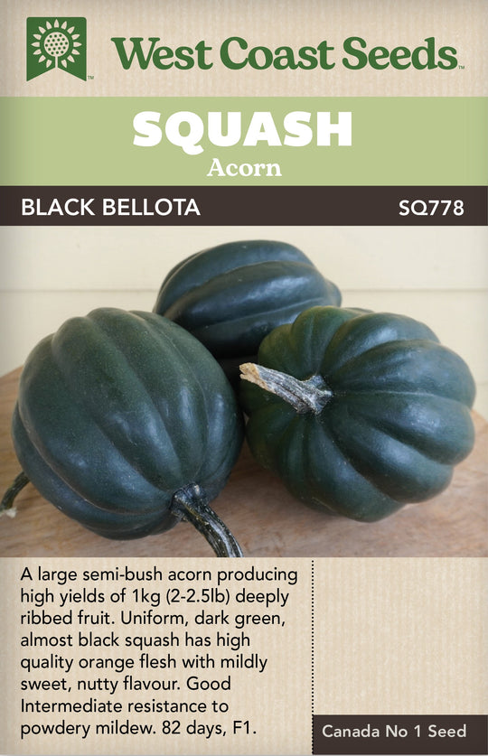 Squash Black Bellota - West Coast Seeds