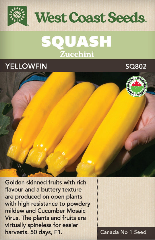 Organic Zucchini Yellowfin - West Coast Seeds