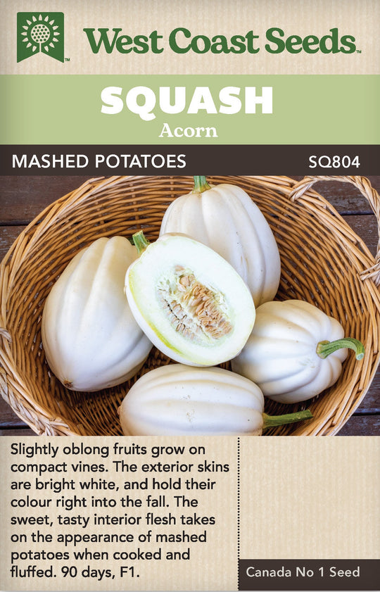 Squash Mashed Potatoes - West Coast Seeds