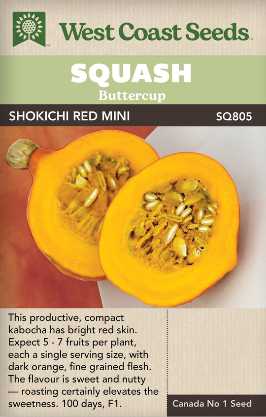Squash Shokichi Red Mini - West Coast Seeds
