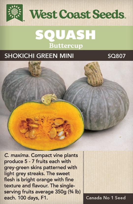Squash Shokichi Green Mini - West Coast Seeds