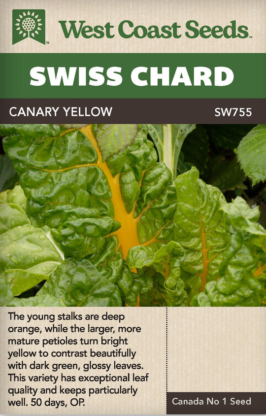 Swiss Chard Canary Yellow - West Coast Seeds