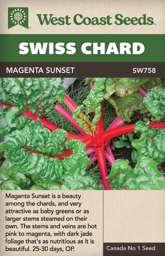 Swiss Chard Magenta Sunset - West Coast Seeds