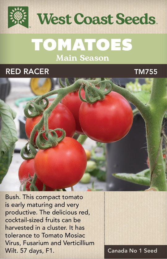 Tomatoes Red Racer - West Coast Seeds