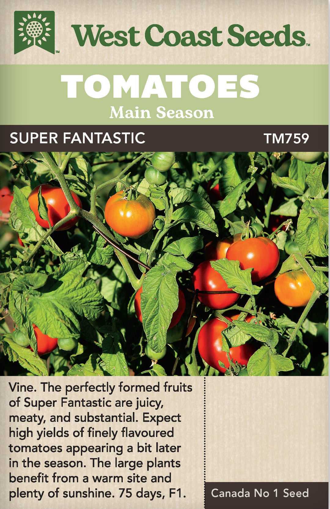 Tomato Super Fantastic - West Coast Seeds
