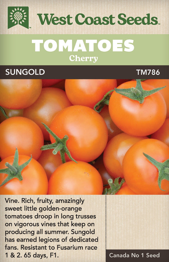 Tomato Sungold Cherry - West Coast Seeds