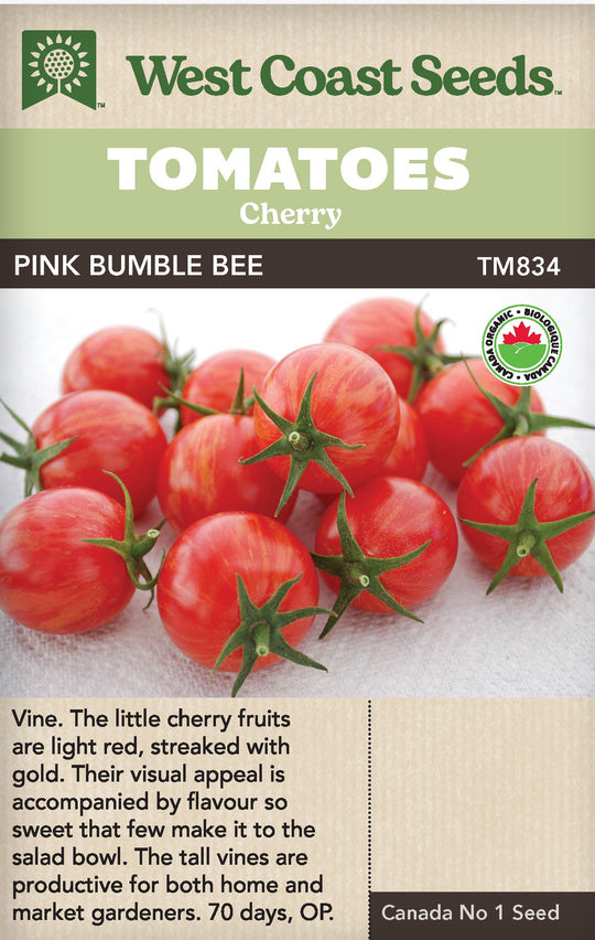 Organic Tomato Pink Bumble Bee - West Coast Seeds