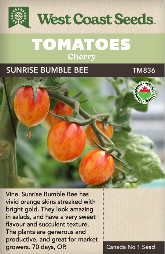 Organic Tomato Sunrise Bumble Bee - West Coast Seeds