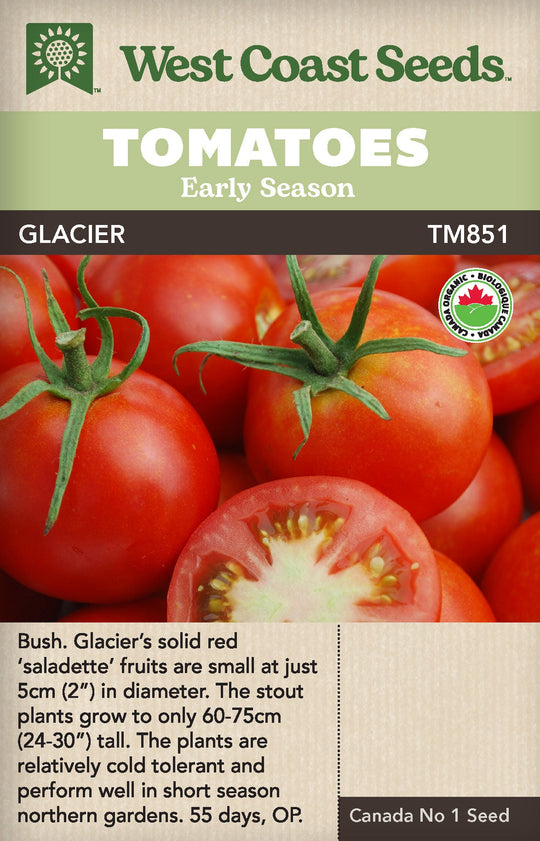 Organic Tomato Glacier - West Coast Seeds
